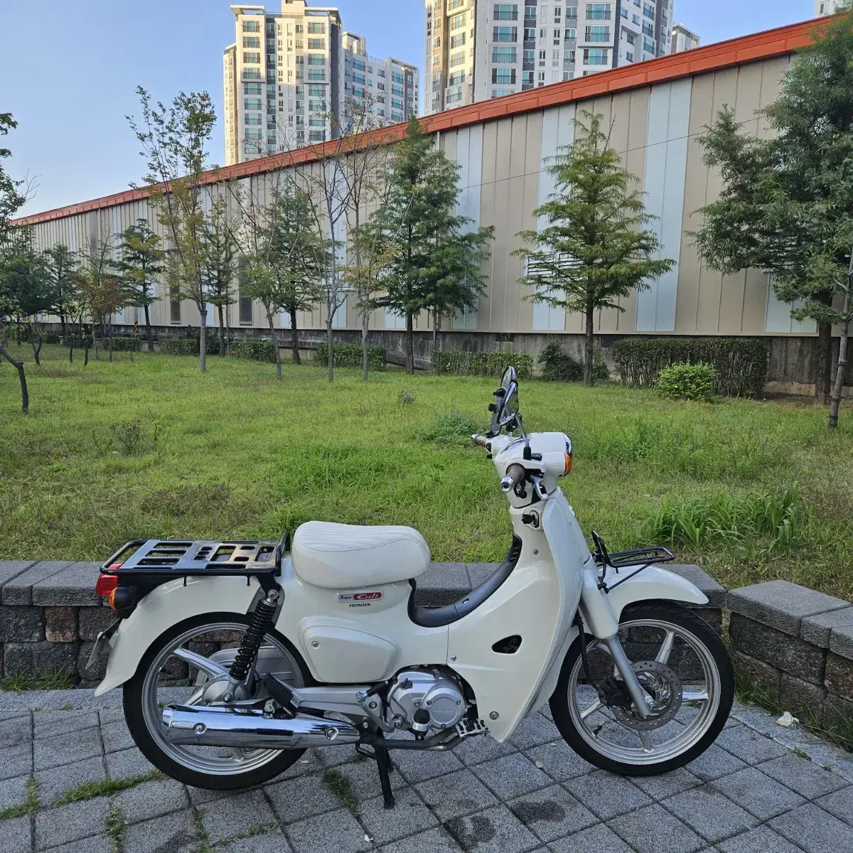 슈퍼커브 110cc  21년식